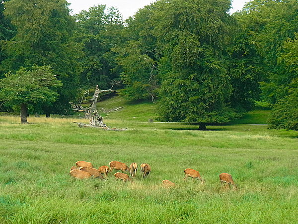 0806rehe